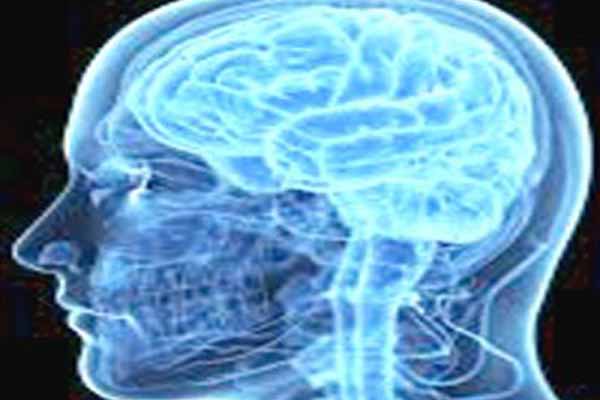 US scientists developed artificial human brain researchers claim human brain grow in lab first time.